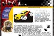 Wildcat Racing